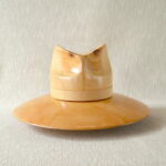 Fedora hat block set F43